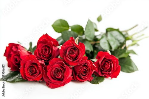 Vibrant Red Roses Bouquet with Fresh Green Leaves Isolated on White Background