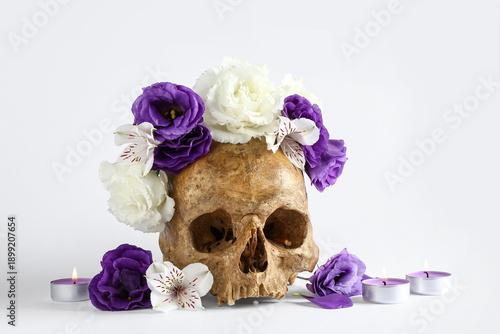 Human skull with beautiful ...