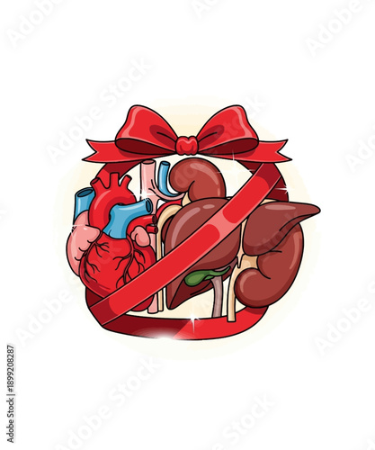 Illustration depicting vital internal human organs like the heart and liver packaged as a meaningful gift with a bright red ribbon on white background