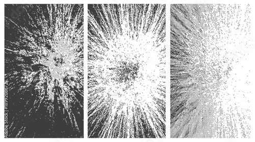 Set of three black and white grunge halftone textures looking up at a forest canopy abstract radial background vector