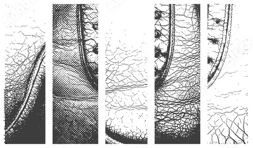 Distressed grunge texture overlay five vertical panels of cracked aged leather and halftone pattern black and white vector