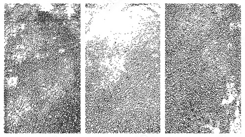 Vector Grunge Texture Panel Set Black and White Distressed Halftone Noise Effect Background Overlays