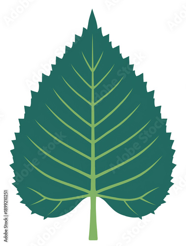 Stylized close-up of a teal leaf with veins on a solid black background