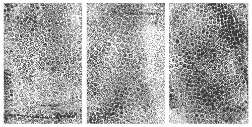 Black and White Stipple Rings Halftone Texture Background Abstract Grunge Dotted Pattern Collection