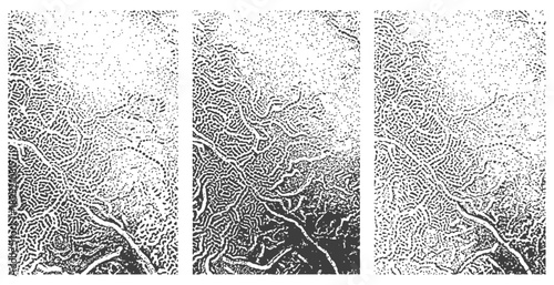 Grungy Black and White Vector Distress Texture Triptych Organic Line Gradient Background Set