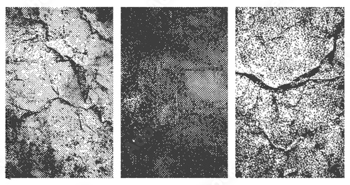 Black and White Grunge Vector Texture Set Halftone Dot Cracked Earth and Noise Overlays Gritty Distressed Background Elements