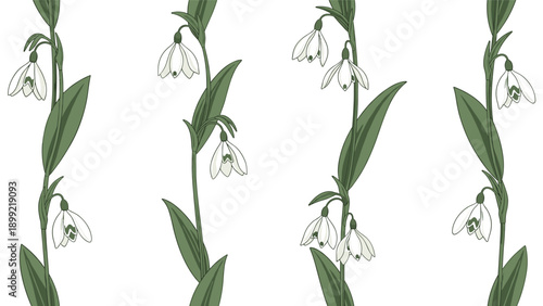 Elegant seamless botanical pattern of white snowdrop flowers with green stems and leaves arranged in vertical lines on a white background.