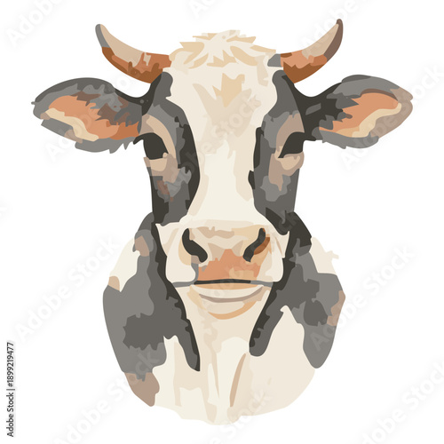 Close-up watercolor illustration of a cows head with horns.