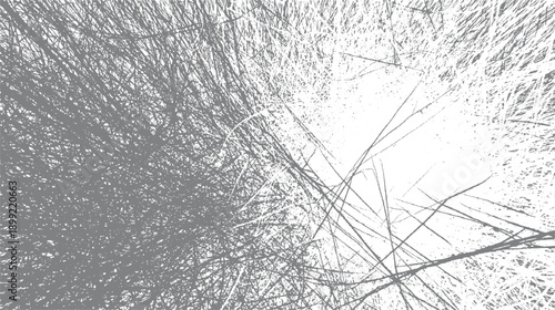 Dense tangled grey lines and dots on white background abstract texture pattern