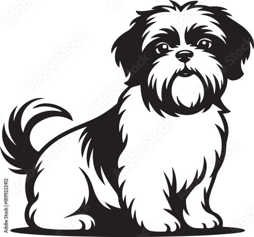Shih tzu dog silhouette, playful pet, cute companion animal, detailed fur texture, black and white illustration, domestic breed