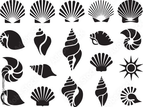 Seashell set with different species clams conches nautilus vector silhouette collection