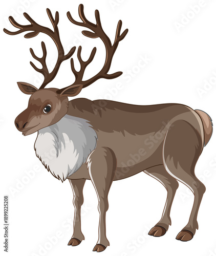 Vector Illustration of a Reindeer with Large Antlers on White Background