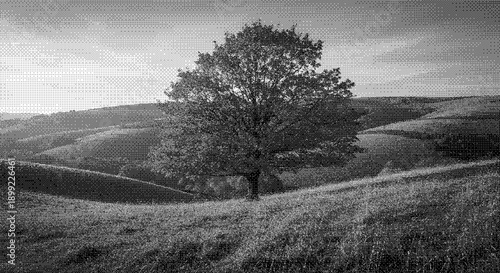 Solitary tree stands tall on rolling hills under a serene sky