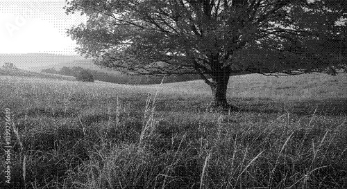 A serene landscape with a majestic tree standing tall in a vast field of tall grass from a distant viewpoint