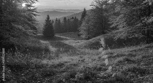A serene landscape of trees and hills viewed from a grassy hillside with a winding path
