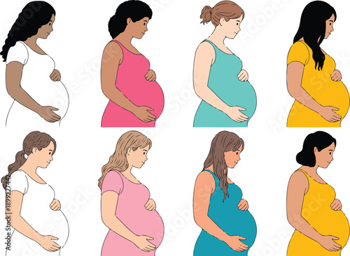 Pregnant Women Vector Illustration Set Maternity Stages and Silhouettes