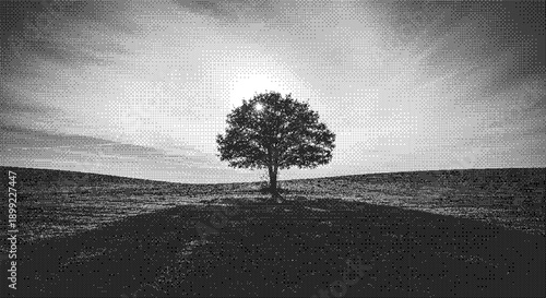 A lone tree standing on a hill under a cloudy sky in a serene landscape viewed from a distance