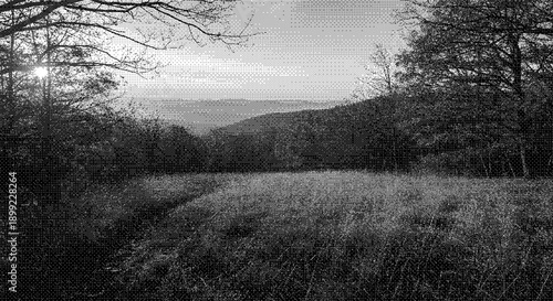 A serene landscape of rolling hills and grassy fields surrounded by trees viewed from a distance