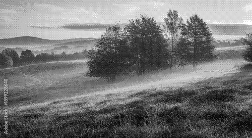 Serene landscape with trees and fog in a rolling hills environment from a distance viewpoint