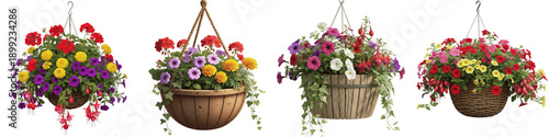 Set of colorful hanging flower baskets with petunias and geraniums isolated on white background