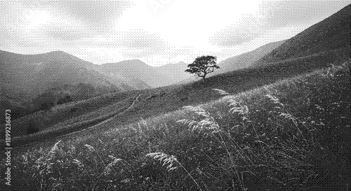 A lone tree stands on a grassy hillside surrounded by rolling mountains under a cloudy sky viewed from a slight elevation