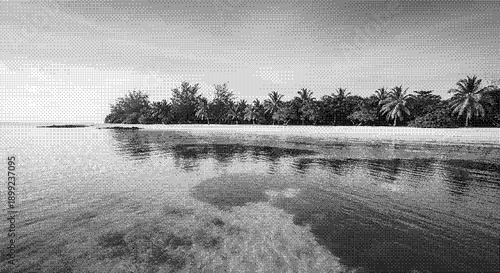 A serene tropical island with palm trees and a calm sea viewed from a boat in black and white photography