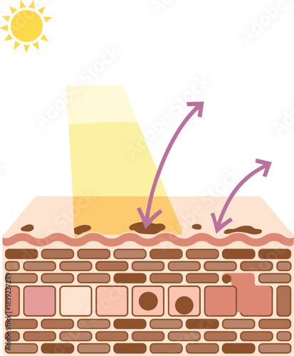 Human skin cell cross section showing UV radiation protection with sunscreen layer reflecting harmful sun rays and preventing melanin pigment spots