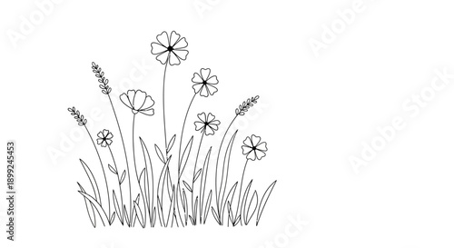 A delicate line drawing of a cluster of wildflowers and grasses in bloom, rendered in a simple black and white style.