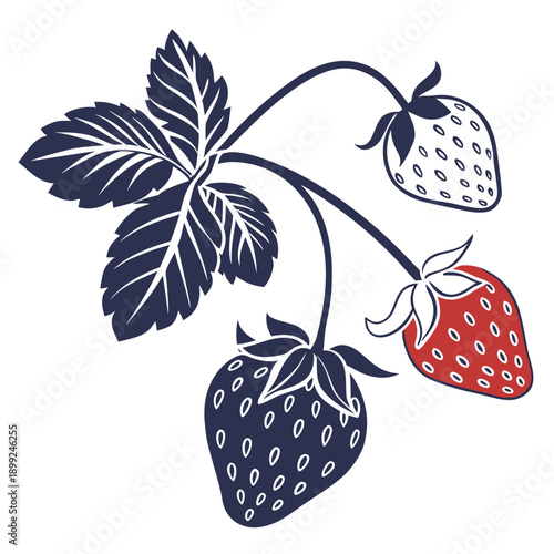 A close-up view of ripe and unripe strawberries growing on a plant