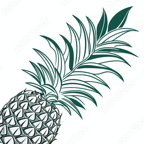 A single pineapple leaf with a tropical and exotic feel