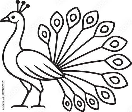 Graceful black and white illustration of a peacock standing with its tail feathers fanned out