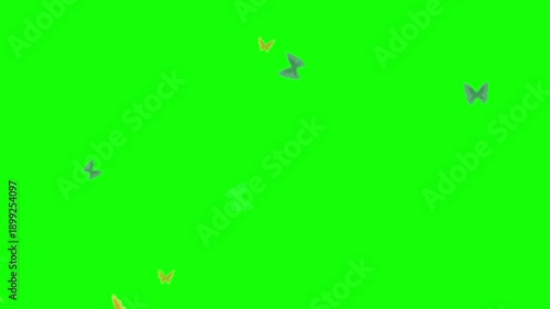 Delicate colorful butterflies gracefully flutter across a vibrant green screen background creating a magical and ethereal visual overlay effect