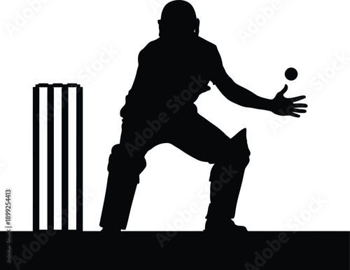 Silhouette of a cricket wicketkeeper catching a ball near the wickets on a white background sport