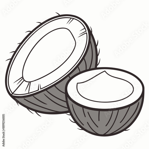 Two halves of a coconut with the white flesh visible inside the shell