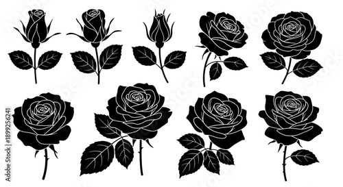 Collection of black silhouette rose illustrations, showcasing various stages of bloom from buds to fully opened flowers with stems and leaves.