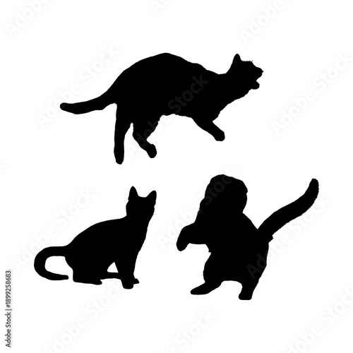 silhouette of cats on white background.