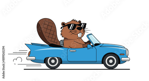 Cool cartoon beaver wearing black sunglasses and driving a fast blue convertible car on a white background.