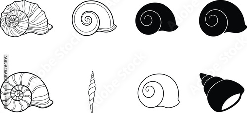 Sea shell icons set featuring spiral shells in outline and solid styles for marine, ocean, beach design concepts