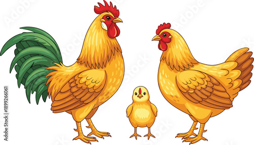Family of chickens standing together in a farm yard with a rooster and hen