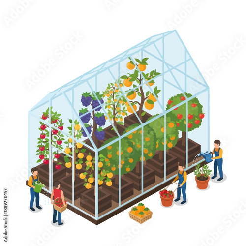 Greenhouse with People and Fruit Trees Inside.