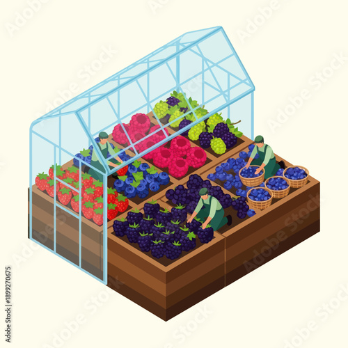 Greenhouse with assorted berries and fruits.