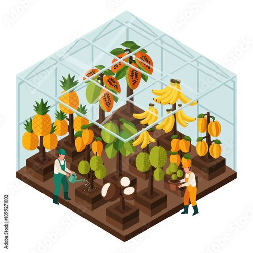 Greenhouse with Fruit Trees and Gardeners.