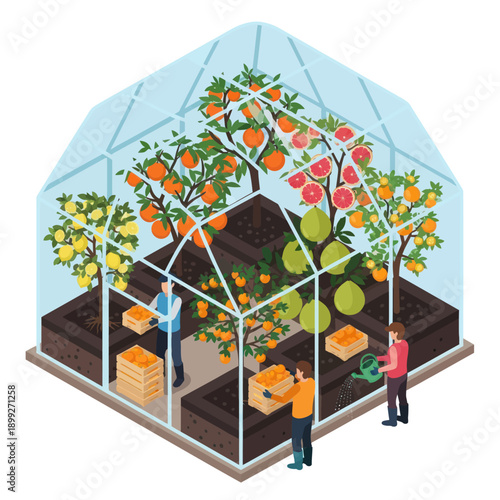 Greenhouse with Fruit Trees and Gardeners.