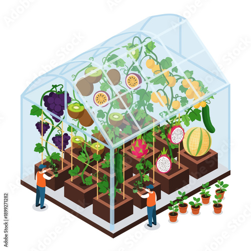 Greenhouse with Variety of Plants and Vegetables.