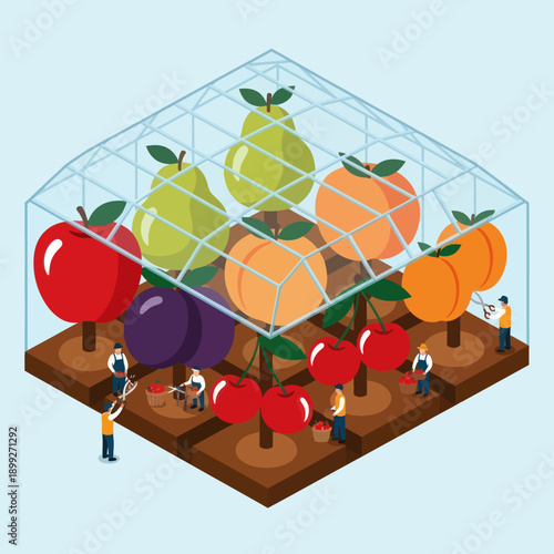 Farmers Harvesting Fresh Fruits in Greenhouse.