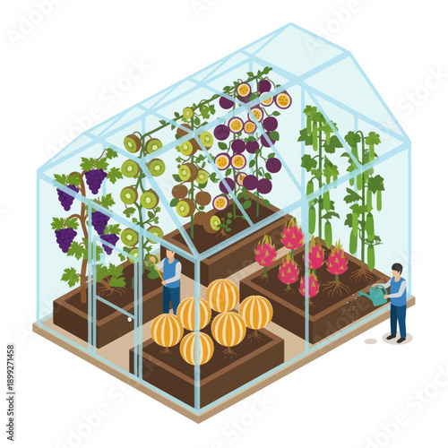 Greenhouse with Various Plants and Gardener.
