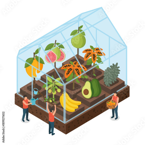 Greenhouse with People and Various Fruits.