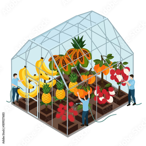 Greenhouse with Fresh Fruits and Vegetables.
