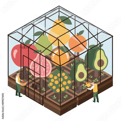 People harvesting fruit from a greenhouse.