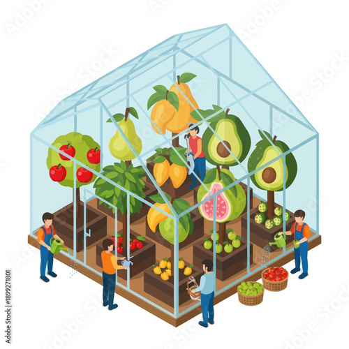 Greenhouse with Fruit Trees and Workers.